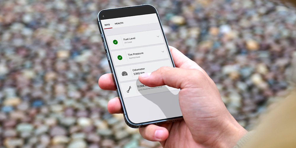 Serviços Alfa Connect