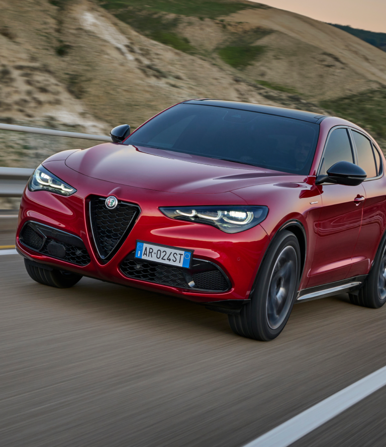 Alfa Romeo - Stelvio - Canvas